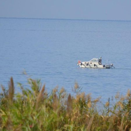 Villa Arechi Σαλέρνο Εξωτερικό φωτογραφία